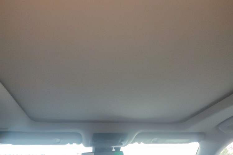 Used Lexus RX 2020 Facelifted 300 4x4 Elegant Edition Headliner