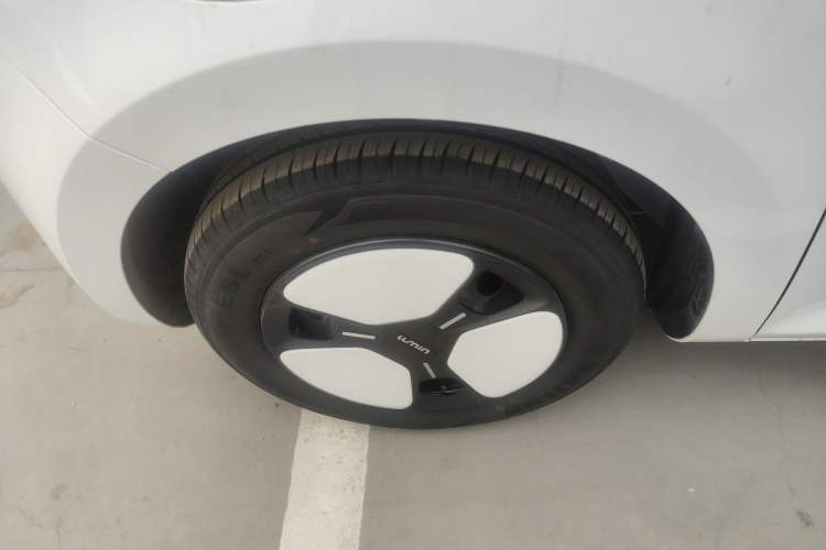 Used Qiyuan Lumin 2025 205 km Xiangqin Version