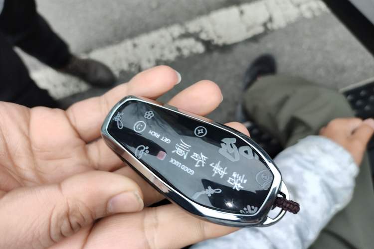 Used BYD Song PLUS New Energy 2025 DM-i 112KM Prestige Model