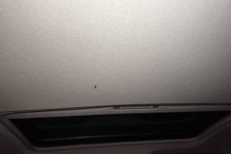 Used Buick GT 2021 Revised Version Flagship 1.5L Automatic Elite Edition Headliner