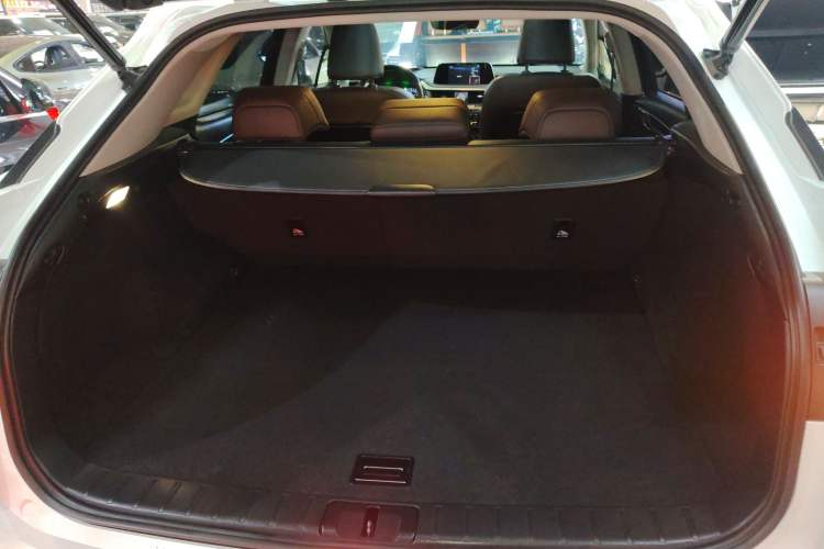 Used Lexus RX 2020 Facelifted 300 4x4 Elegant Edition Trunk