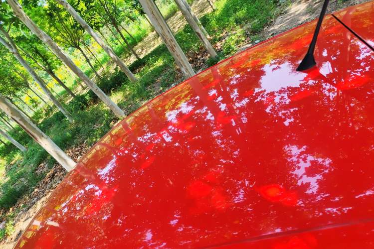 Used Volkswagen Polo 2016 1.4L Automatic Trendy Model
