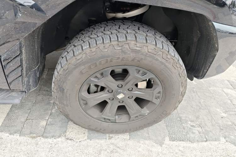 Used Tank 400 2025 2.0T Gasoline Version
