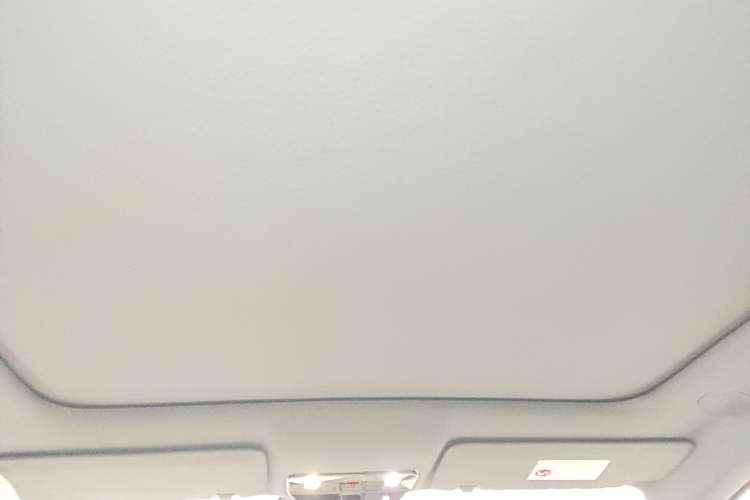 Used Li Auto i6 2025 Model Two-Wheel-Drive Standard Type Headliner