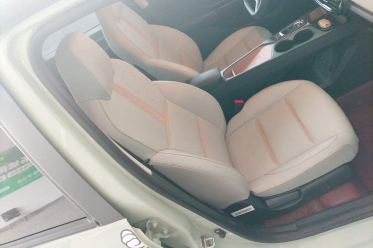 Used SOL E10X 2022 Flower Fairy Design Four-Leaf Clover
