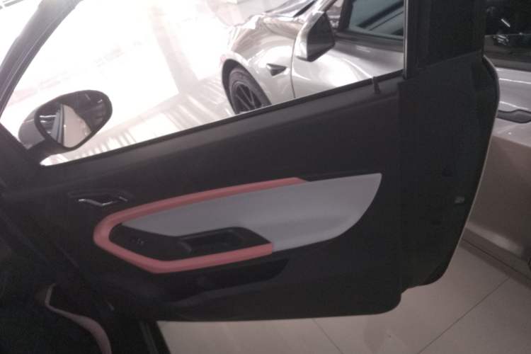 Used Chery New Energy Little Ant 2022 Sweet Pink Edition Half-Sugar Version Lithium Iron Phosphate 29.2 kWh 30 kW 301 km Right Front Door Interior