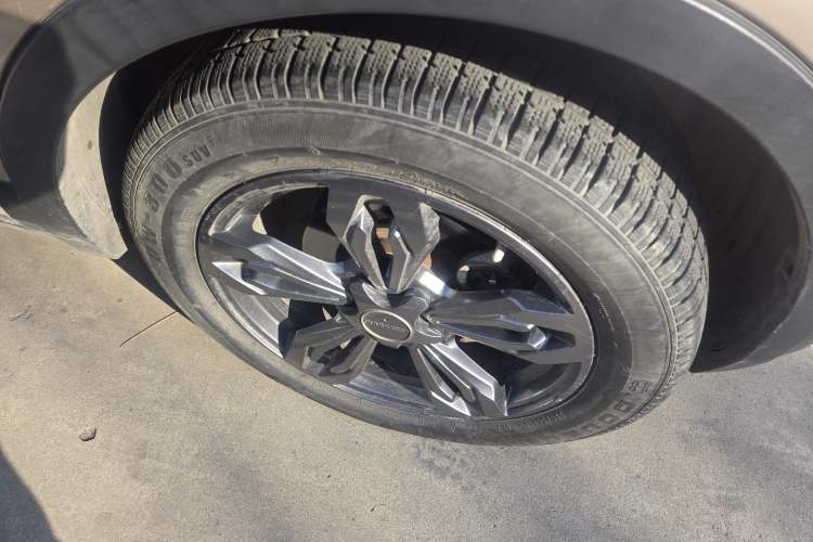 Used Leopaard CS9 2017 1.5L Manual Fashion Model