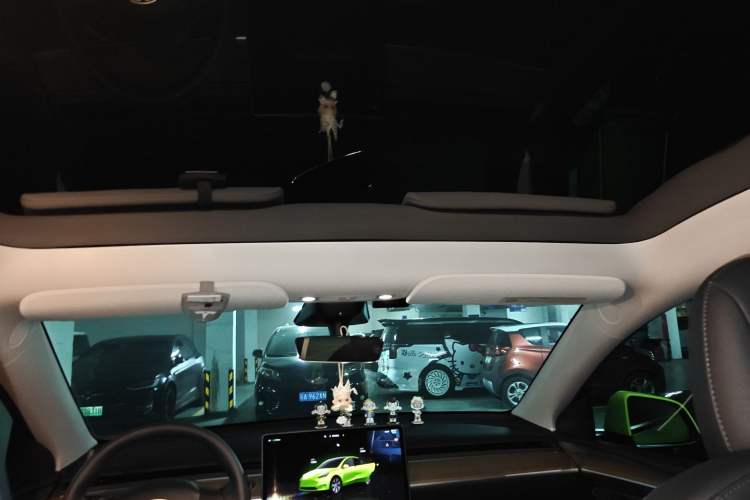 Used Tesla Model Y 2022 Rear-Wheel-Drive Version Headliner