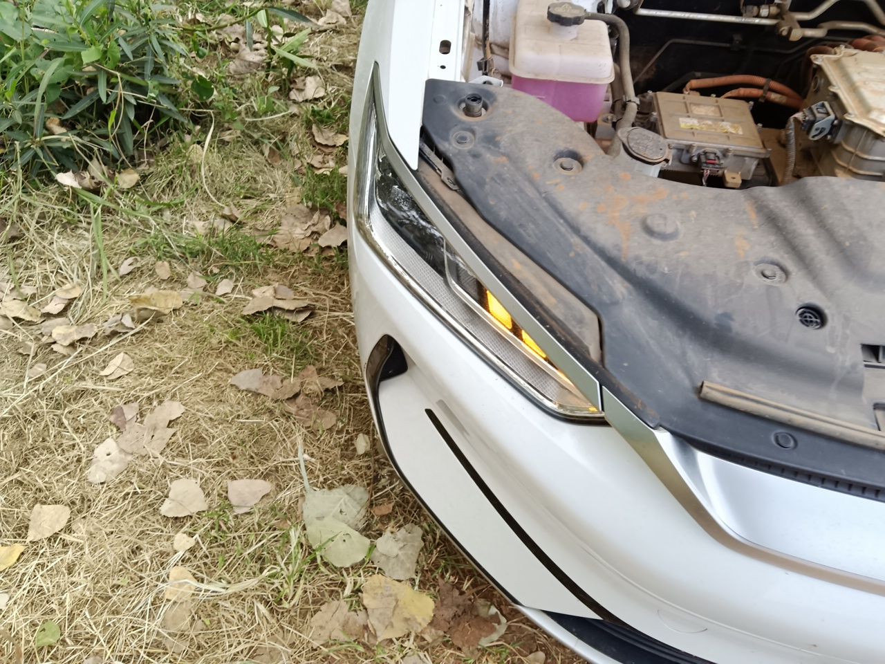 BYD Qin PLUS 2021 EV 400KM Leading Comfort Edition — снимка 7