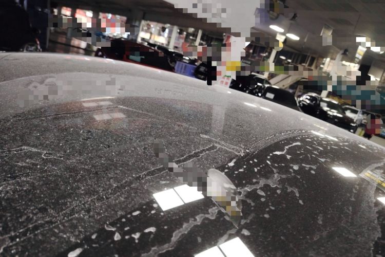 Used Tesla Model Y 2021 Long-Range All-Wheel-Drive Version