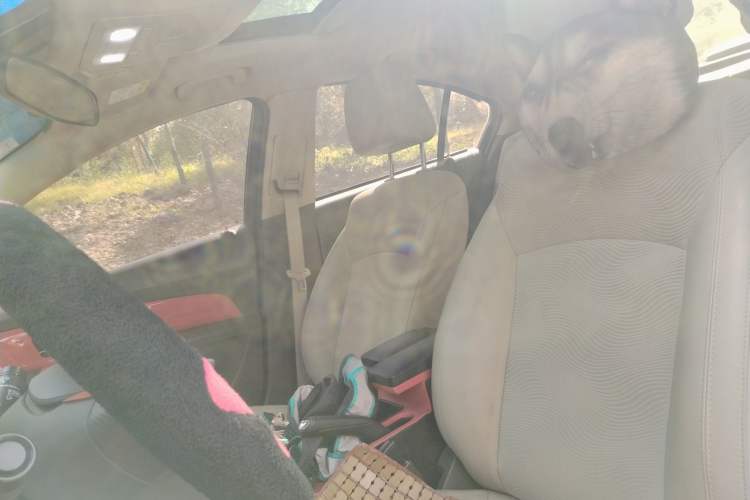 Used Chevrolet Cruze 2015 1.5L Classic SE MT Left Front Seat