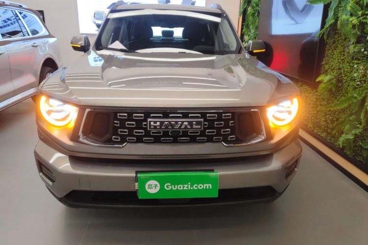 Used Haval H Dog 2023 2.0T Two-Wheel Drive Chaoye Version Plus