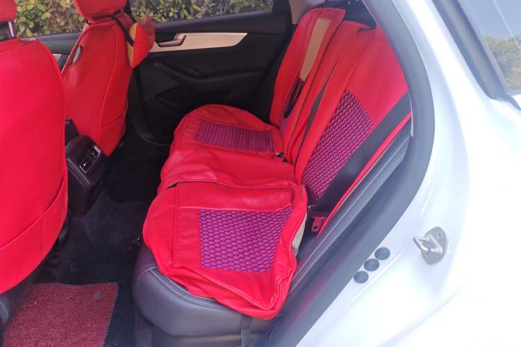 Used BYD Qin Pro New Energy 2019 DM Super Edition 1.5TI Automatic Smart Connect X-Trail Model China VI Standard Left Rear Seat