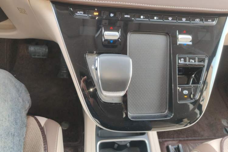 Used Hongqi HQ9 2024 2.0T Business Edition
