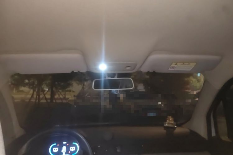 Used Leapmotor T03 2023 200 Lite Edition Headliner