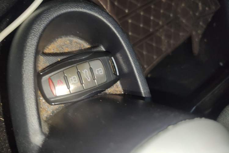 Used ORA Black Cat 2021 301km Cute Pet Edition
