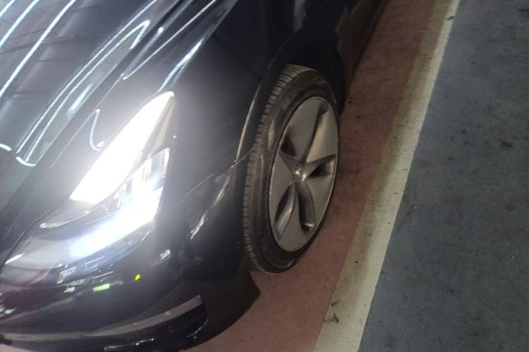 Used Tesla Model 3 (Import) 2019 Long-Range All-Wheel-Drive Version