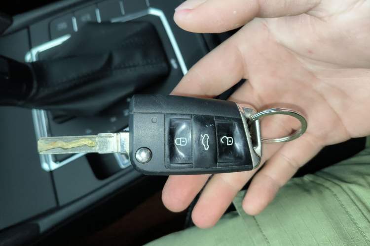 Used Volkswagen Lamando 2019 230TSI DSG Fashion Edition China VI