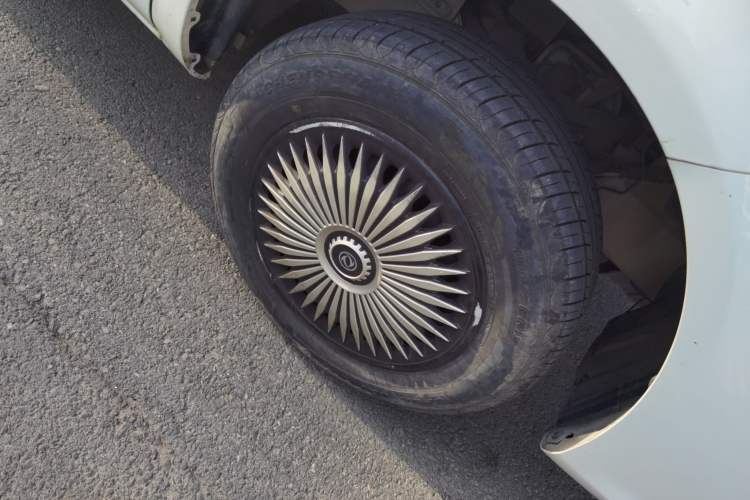 Used FORTHING Lingzhi 