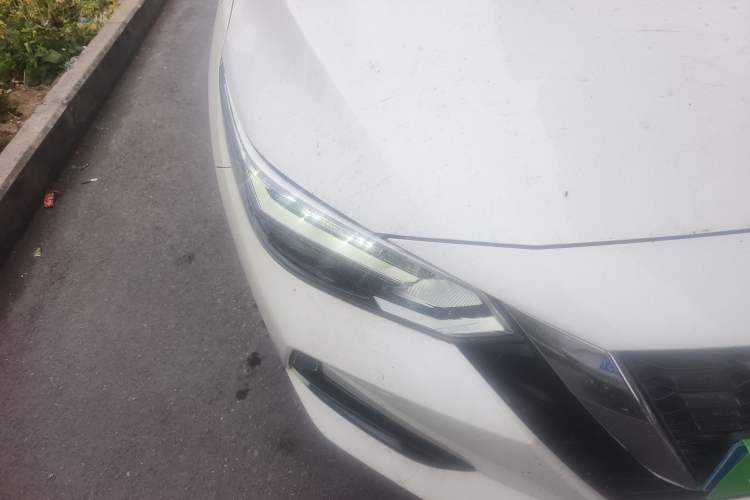 Used Nissan Sylphy 2021 1.6L XL CVT Enjoyment Edition