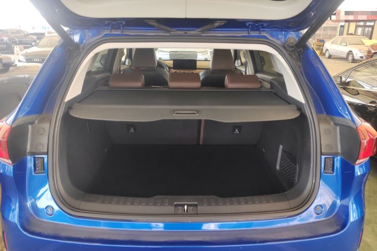 Used Wey VV6 2021 2.0T Two-Wheel Drive Smart Plus