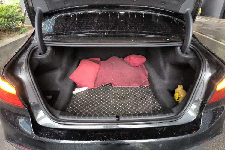 Used BMW 5 Series 2020 530Li Luxury Edition M Sport Package