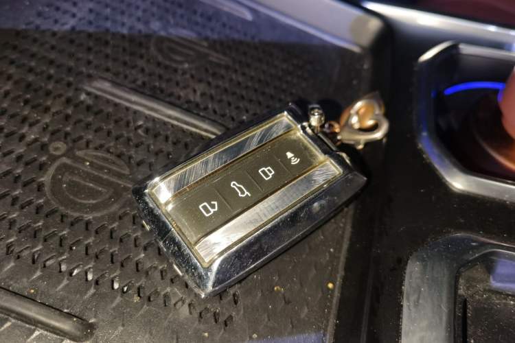 Used Tank 400 New Energy 2024 Hi4-T Off-Road Edition
