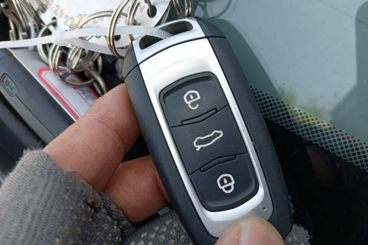 Used Geely Galaxy Panda 2024 Panda Mini 200km Endurance Bear