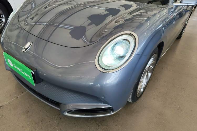 Used ORA Lightning Cat 2022 555 km Luxury Edition
