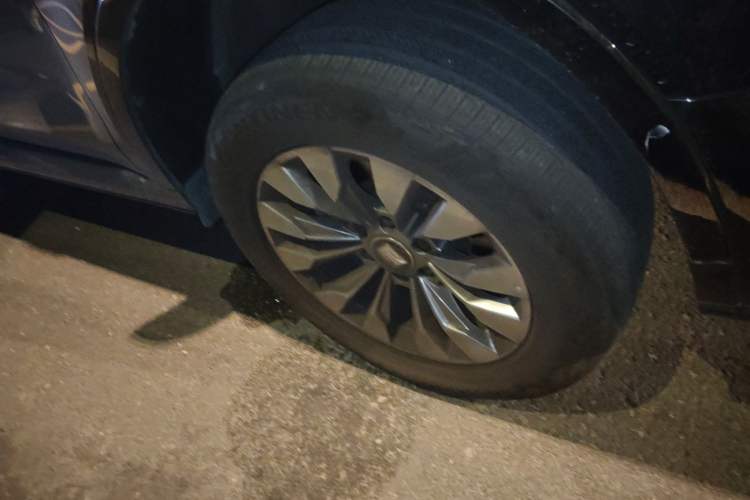 Used Tank 500 New Energy 2023 Hi4-T