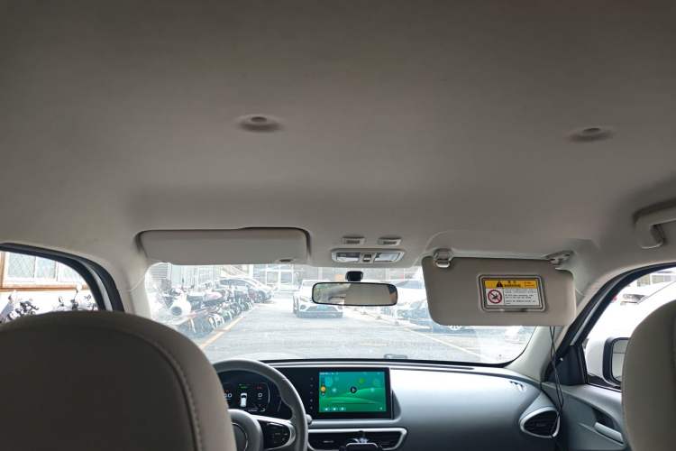 Used ORA White Cat 2020 305 km Luxury Version Headliner