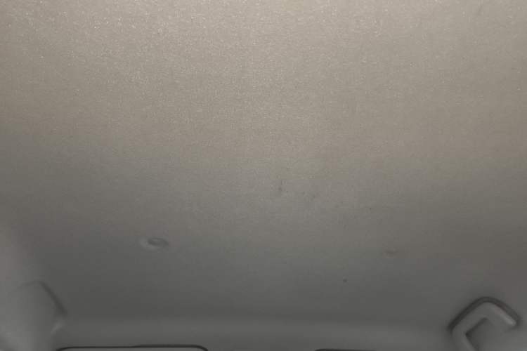 Used ORA Black Cat 2021 301 km Basic Version