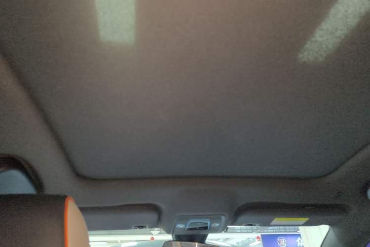 Used BYD Dolphin 2021 405 km Fashion Edition Headliner