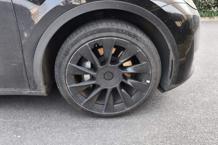 Used Tesla Model Y 2021 Standard Range Rear-Wheel Drive Version
