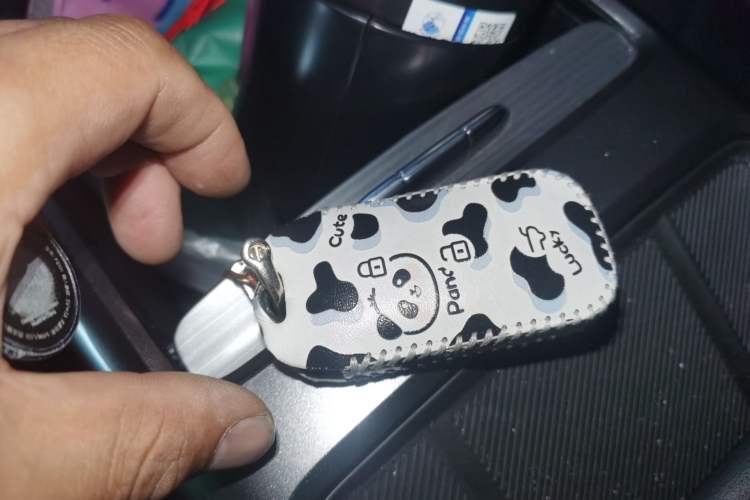 Used Geely Galaxy L6 2024 60km PLUS Dragon Edition