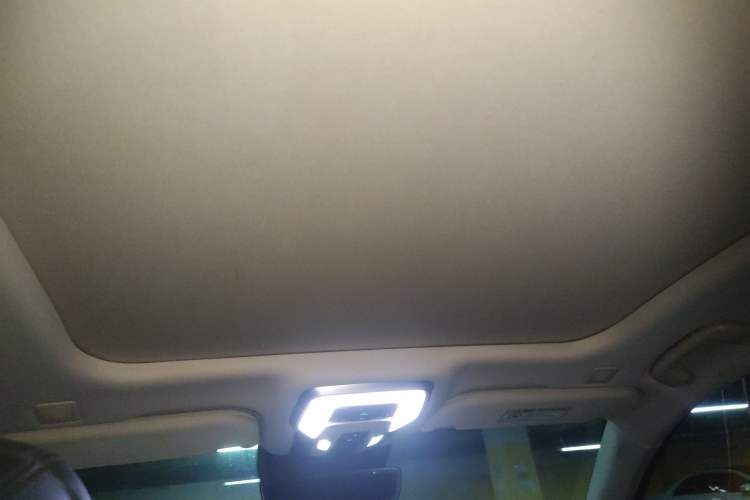 Used Hongqi H9 2020 2.0T Smart Connect Flagship Edition
