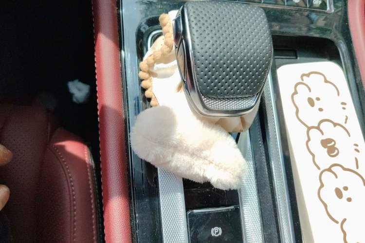 Used Hongqi H5 2025 2.0T Automatic Xuan Ying Edition Gear Lever