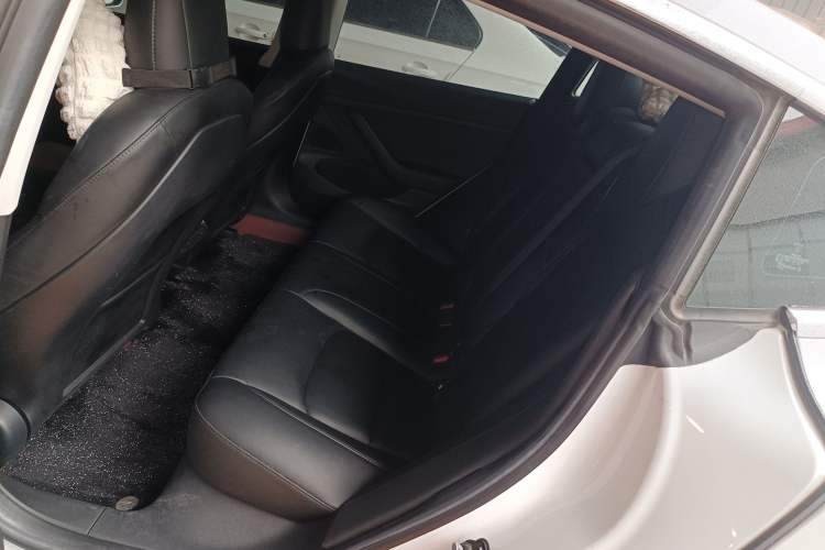 Used Tesla Model 3 2020 Revised Version Standard Range Rear-Wheel Drive – Upgraded Edition Left Rear Seat