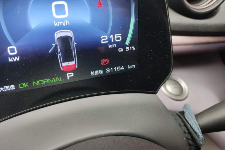 Used BYD Dolphin 2023 420 km Fashion Edition Odometer Close Up