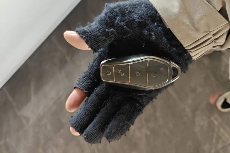 Used BYD Seal 05 DM-i 2025 DM-i Smart Drive 55KM Luxury Model