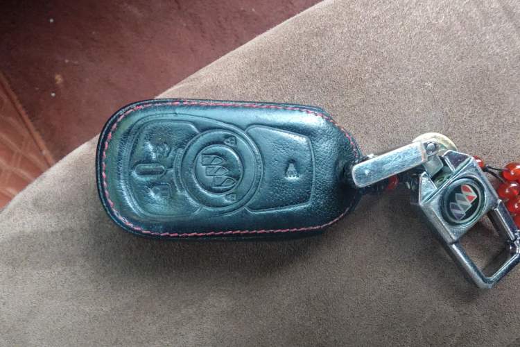 Used Buick Regal 2019 20T Elite Version China VI Standard
