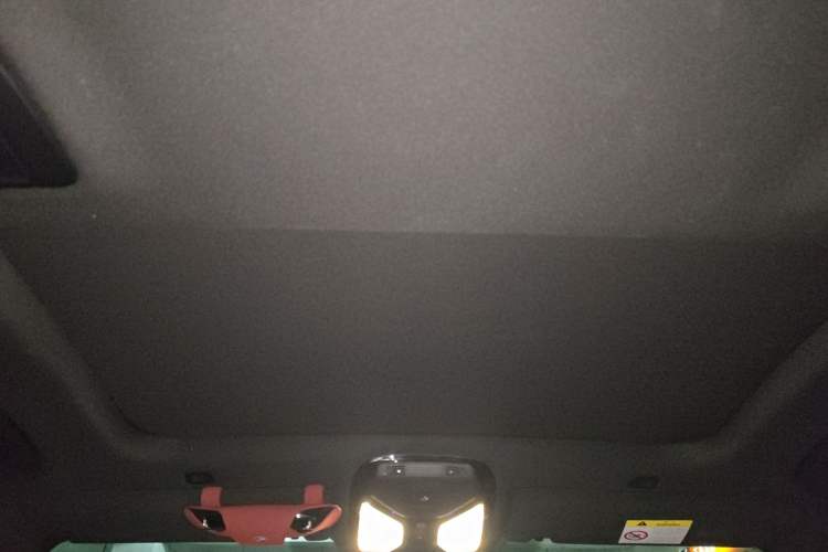 Used BMW 5 Series 2022 Second Facelift 530Li Luxury Version M Sport Package Headliner