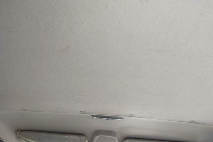 Used Ford Transit 2020 2.0T Gasoline Multi-Function Commercial Vehicle Mid-Drive Low-Roof Design with Dual Rear Doors Meeting China VI Emission Standards Headliner