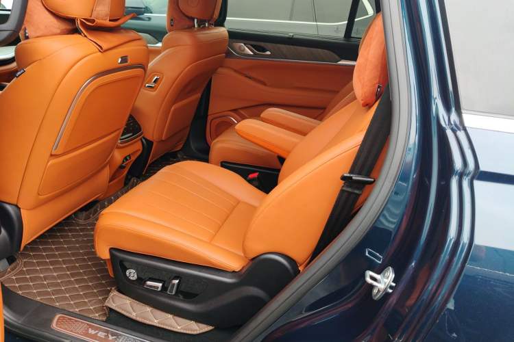 Used Wey Lanshan 2023 Four-Wheel Drive Ultra-Long Range Version