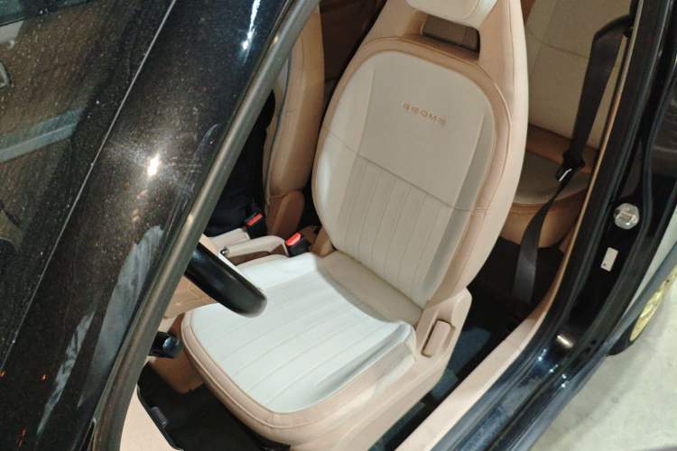 Used Geely Galaxy Panda 2024 200km Panda Kart Left Front Seat