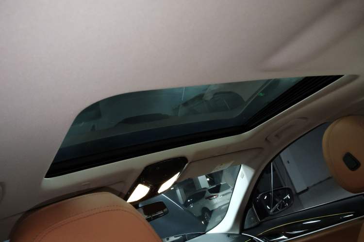 Used BMW 5 Series 2018 528Li Launch Special Edition Headliner