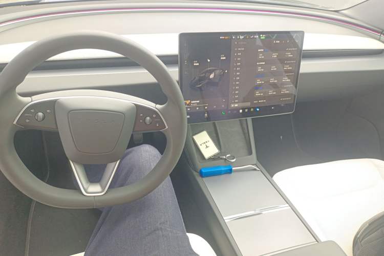 Used Tesla Model 3 2023 Rear-Wheel-Drive Version Center Console