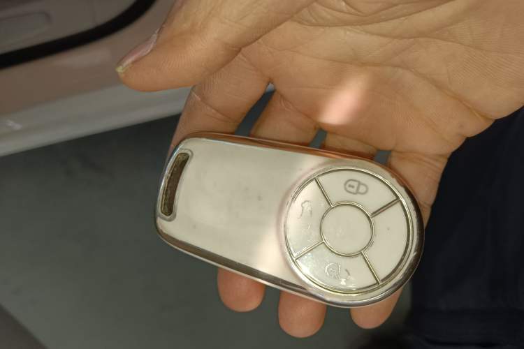 Used ORA Ballet Cat 2022 401 km Nutcracker Edition Interior 1