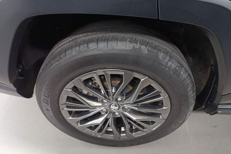 Used Toyota Wildlander 2023 Dual-Motor 2.5L E-CVT Four-Wheel Drive Prestige Edition Exterior 5