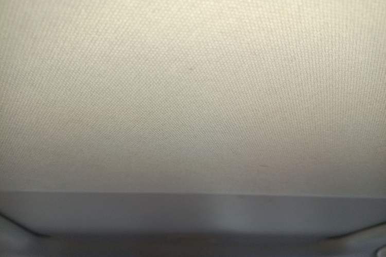 Used Toyota Corolla 2019 1.2T S-CVT GL-i Luxury Edition Headliner